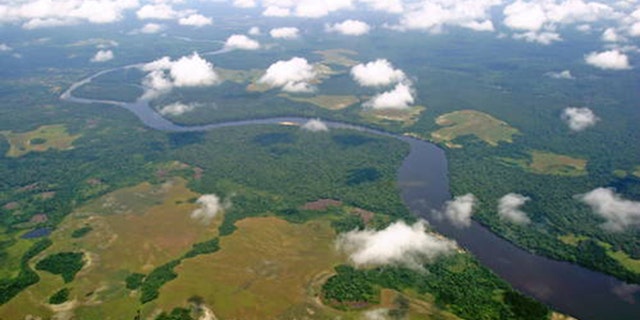 An aerial view of Salonga National Park in the Democratic Republic of Congo. (Photo: UNESCO)