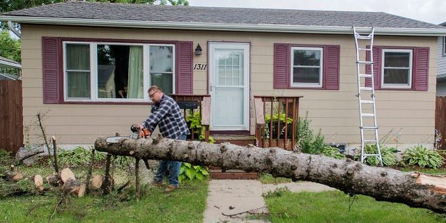 Alex Hutchens cuts a downed pine tree into pieces in his front yard after a powerful storm with straight-line winds blowing up to 53 miles per hour came through the Mankato area, Saturday, July 20, 2019, in Minn.