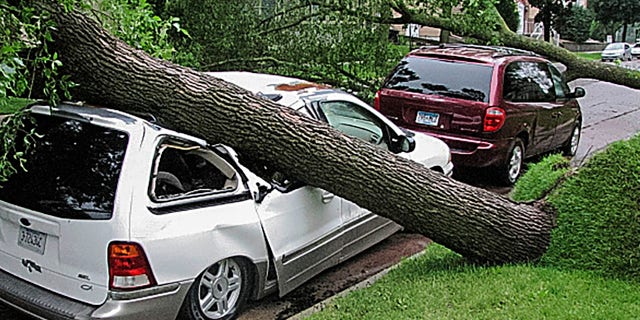 A tree uprooted by a morning storm crushes a vehicle parked outside an apartment building, in Mankato, Minn., Saturday, July 20, 2019.