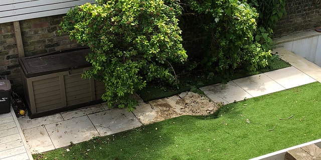 The force of the body falling from a commercial airplane dented paving slabs and astro-turf in a back yard in Clapham, South London. (SWNS)