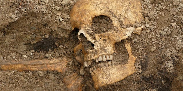A man's remains were discovered in one of the boat graves.