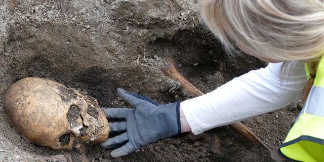 Osteologist Carolin Arcini with the man's skeleton.