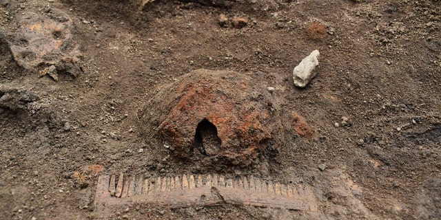 A comb and a part of a shield were discovered in one of the boat graves. (Arkeologerna Statens Historiska Museer)