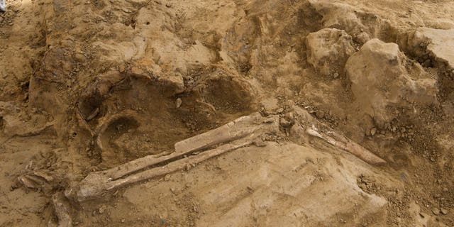 The third amputated leg discovered at the field hospital site.