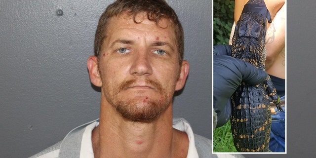 Richardson told deputies a friend had given him the baby gator.