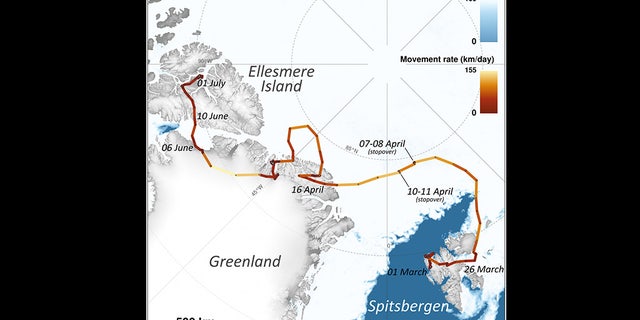 A map depicting the journey of the arctic fox.