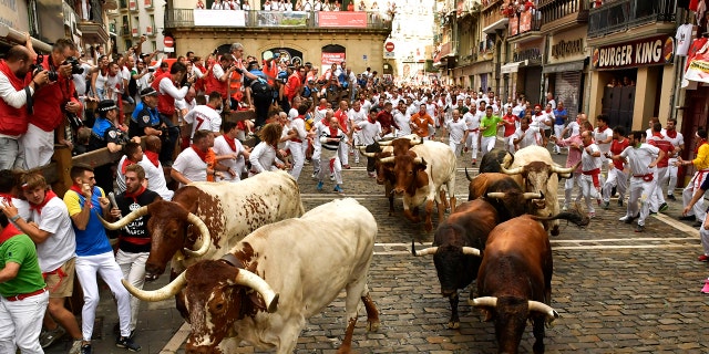 Revellers run next to fighting bulls from Cebada Gago ranch, during the running of the bulls at the San Fermin Festival, in Pamplona, northern Spain, Monday, July 8, 2019. 