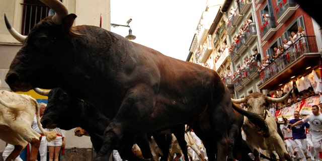 Westlake Legal Group bulls4 American man gored in the neck during Spain's running of the bulls said it felt ' like being hit by a car or a truck' Paulina Dedaj fox-news/world/world-regions/spain fox-news/world/world-regions/europe fox news fnc/world fnc article 5af1b95b-7bb4-5f1f-87a8-33c7681fc137