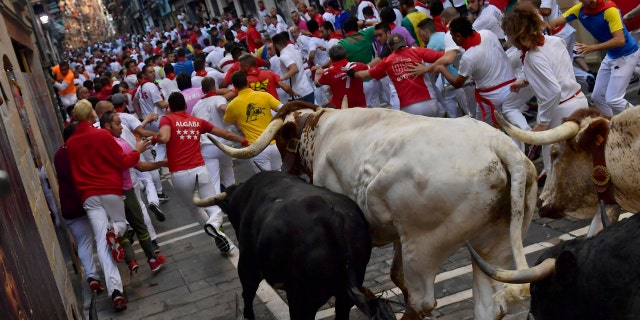 Revelers run next to fighting bulls during the running of the bulls at the San Fermin Festival, in Pamplona, northern Spain, Thursday, July, 11, 2019. (AP Photo/Alvaro Barrientos)