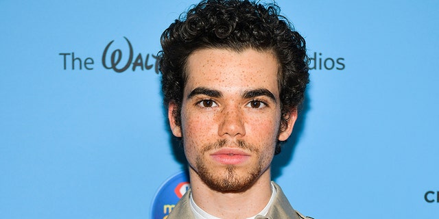 Disney Star Cameron Boyce Suffered from Epilepsy
