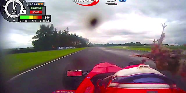 Westlake Legal Group clear-and-pheas-375782 Pheasant hits race car driver in head at 105 mph: 'It felt like I was hit by a brick in the face' Michael Bartiromo fox-news/auto/attributes/racing fox news fnc/auto fnc article 96aea70f-aea5-54b5-8b98-72abd2726a13