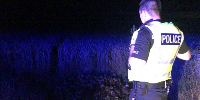 Scotland Police asked, "Anyone missing 100 Ducklings? Not the usual Saturday night crowd control!"
