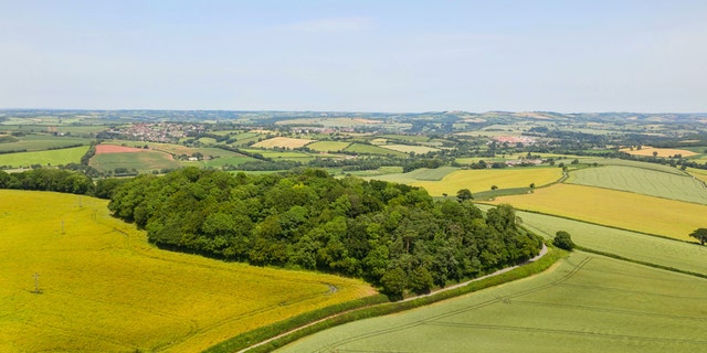An extinct 250-million-year-old British volcano has been put up for sale - for just £50,000. The former lava-spilling site is now known as Posbury Clump and the new owners would enjoy stunning views from the historic hilltop site. (Credit: SWNS)