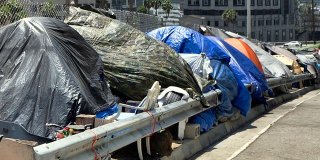 A homeless person sits at his tent along the Interstate 110 freeway in downtown Los Angeles in May 2018. Mayor Eric Garcetti is paying a political price for the city's homeless crisis. An effort is underway to recall the two-term Democrat from office prompted by widespread complaints about homeless encampments throughout the city. (AP Photo/Richard Vogel, File)