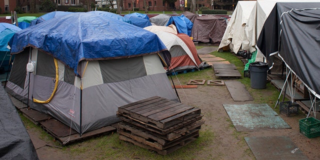 A homeless encampment is pictured in Seattle, Washington. Smaller towns and cities in Maine don't have shelters like Portland and Bangor do. In Belfast, even if a tent is issued, there isn't a municipal campground. So people must get permission to pitch a tent on private property, or use a private campground.
