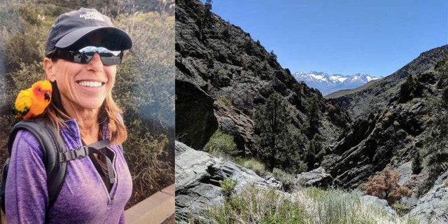 Sheryl Powell, 60, disappeared Friday near Grandview Campground in California's Bristlecone Pine Forest, officials said.