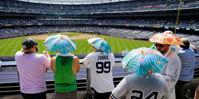 Fans use an umbrella hat to protect themselves from the sun during the sixth inn of a Baseball match between New York Yankees and Colorado Rockies Saturday, July 20, 2019 in New York.