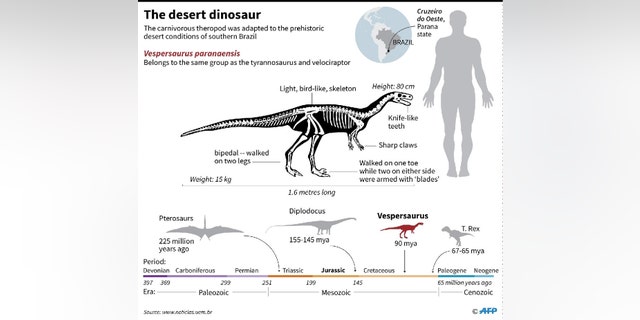 Factfile on the carnivorous theropod dinosaur, adapted to the prehistoric desert conditions of southern Brazil 90 million years ago. (Credit: Phys.org)