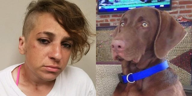 Leslie Aguillard was arrested after allegedly stealing a truck with a dog inside. The dog, named Roleaux, was later found dead in the truck.