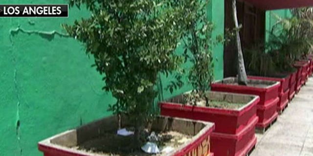 A Los Angeles business placed 140 planter boxes around their building in response to tents being set up by homeless people.