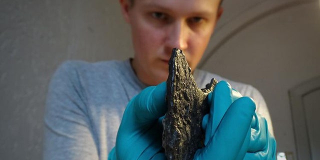 Dr. Leszek Gardeła examining the axe found in a woman's grave in western Norway. (Credit: Mira Fricke)