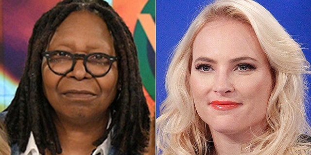 Meghan McCain returned to co-host 'The View' on Wednesday via video chat.