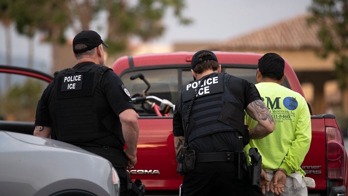 Dan Stein: New regulation on detaining illegal immigrants will reduce child abuse, rapes, assaults and deaths