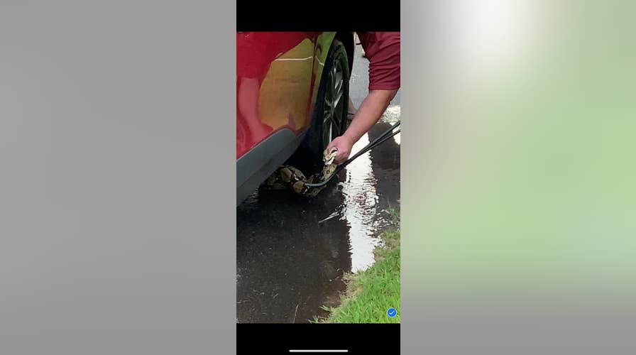 Kansas City man uses his windshield wipers to knock snake from his car
