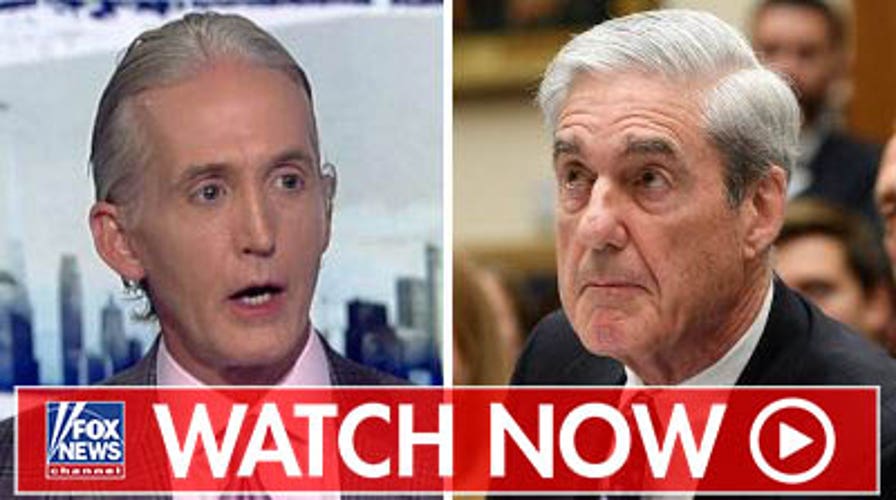 Gowdy reacts to Mueller hearings