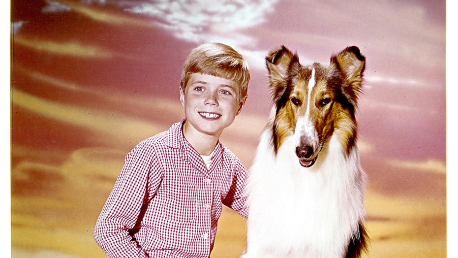 lassie natural way