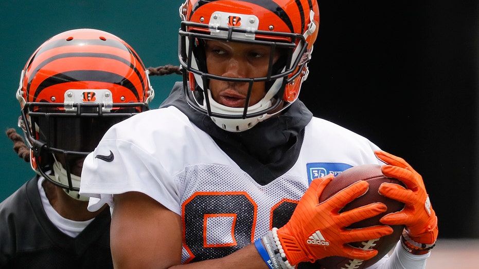 Bengals’ Tyler Boyd suggests Steelers ‘gave up’ in showdown between AFC North rivals