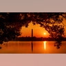 The Washington Monument is silhouetted against the morning sky as the sun rises at the start of a hot day in Washington, July 20, 2019. 