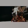 Astronaut Edwin E. Aldrin Jr., the lunar module pilot, egresses the Lunar Module? "Eagle" and begins to descend the steps of the LM ladder as he prepares to walk on the moon.