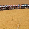 The pack rides during the fourth stage of the Tour de France cycling race between Reims and Nancy, France, July 9, 2019. 