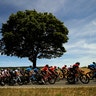 The pack rides during the fourth stage of the Tour de France cycling race over 133 miles with a start in Reims and finish in Nancy, France, July 9, 2019.