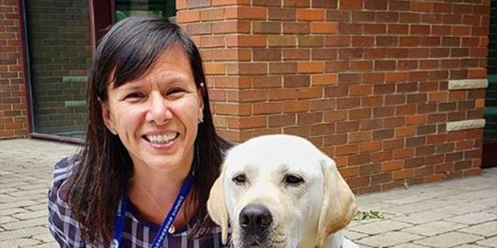 fox news spike service dog