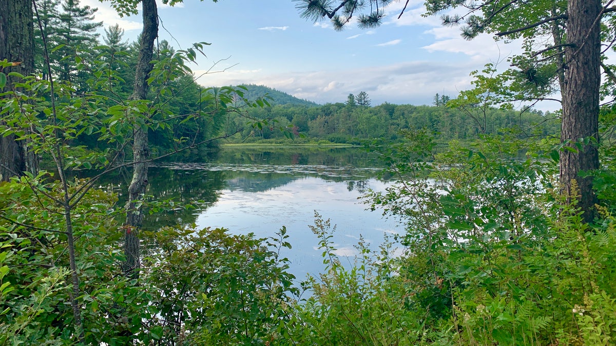 "The New Hampshire environmental community is very strong and Democrats seem to respond to environmental issues much more than they would probably in other parts of the country," said The New Hampshire Institute of Politics Executive Director Neil Levesque. Scenic landscapes like this lake near Ossipee, N.H. are easily accessible across the state to residents. (Allie Raffa/Fox News)