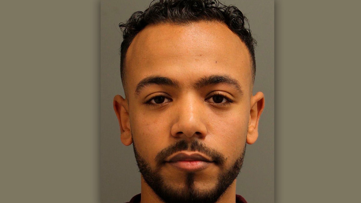 Ahmed Elgaafary (The Associated Press)