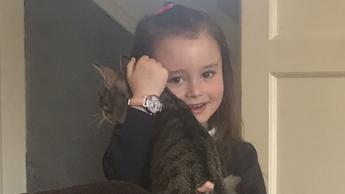 Alice Hudson had been playing with cat Tigger when he accidentally bit her while chasing after a ball.