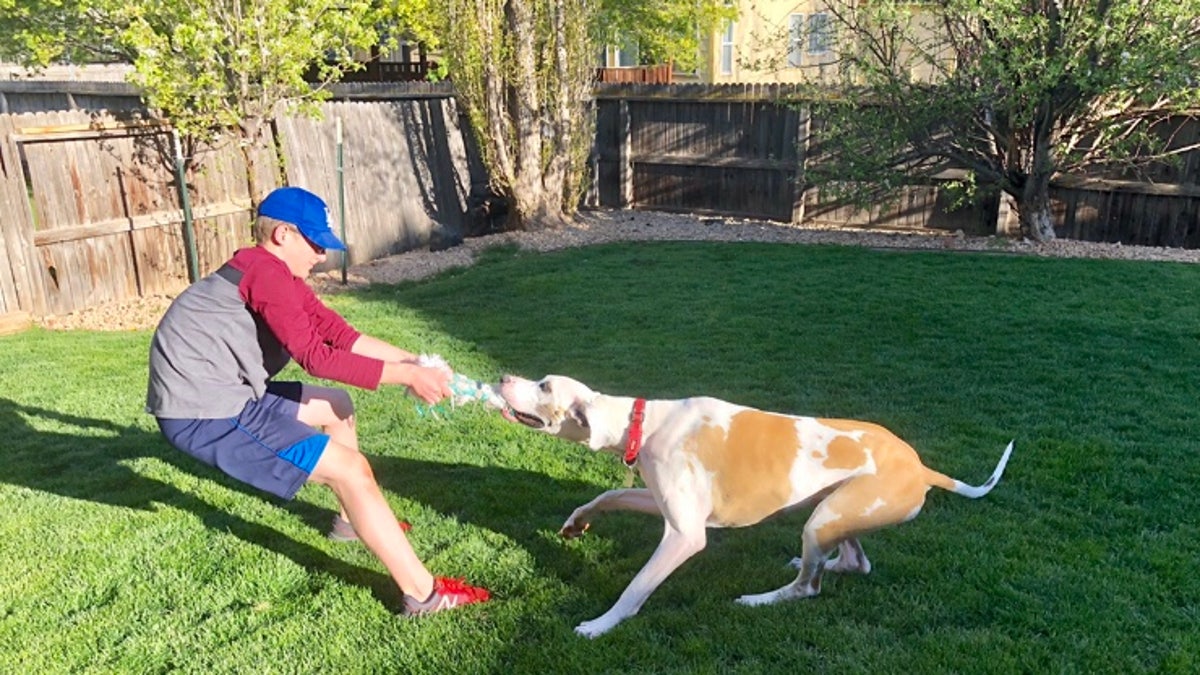 The author's son and their dog Shep