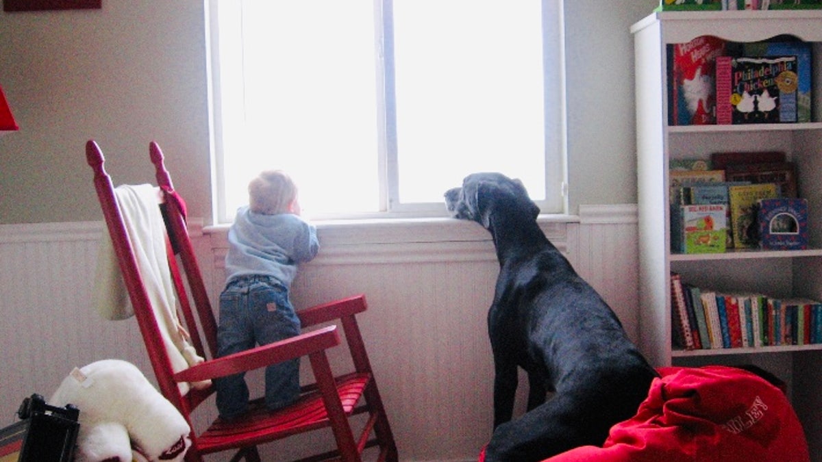 The author's son Riley and their dog Shadow
