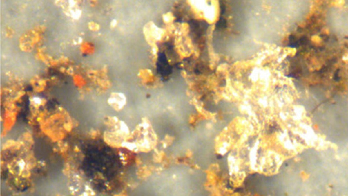 A close up view of microplastic pollution in Arctic snow. (Alfred-Wegener-Institut)