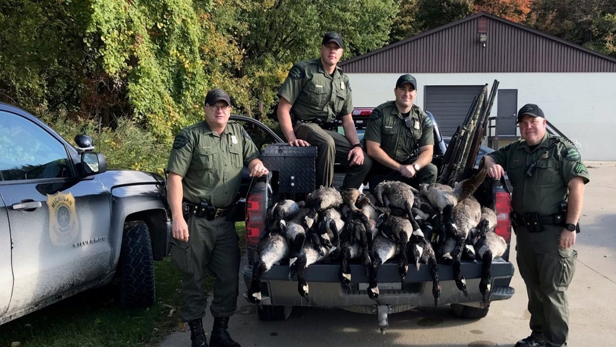 Officials apprehended the alleged poachers after watching them shoot 20 geese, place some of them in a pickup truck bed, and continue hunting.