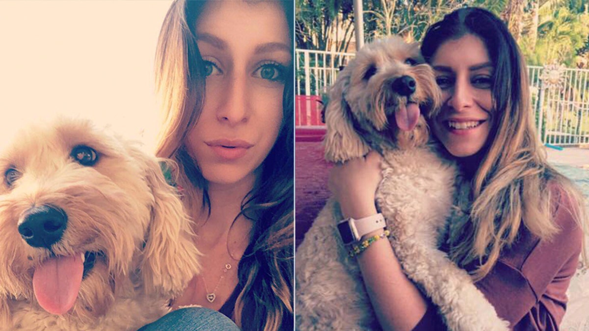 “I felt more embarrassed than my dog feels,’’ Graziella Puleo said when her dog returned from the groomer with a new look.