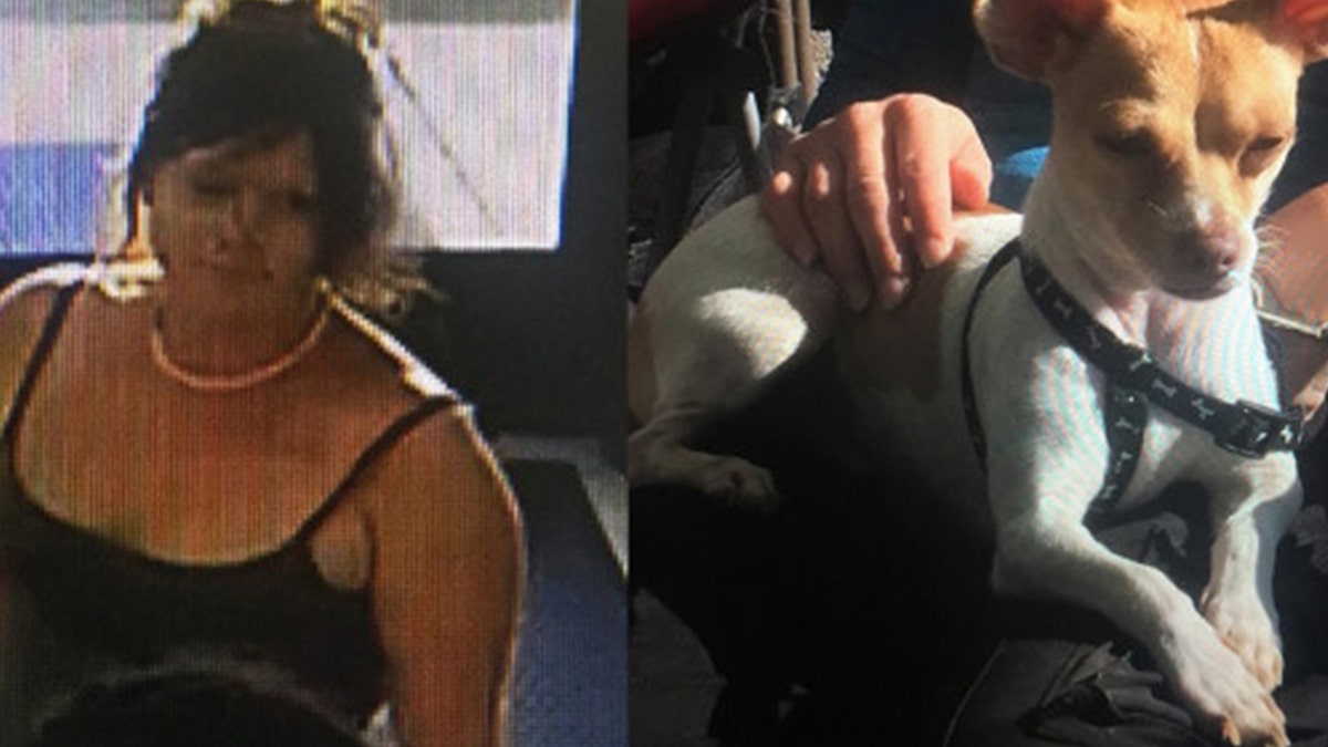 Melody Mellon reportedly faces a slew of charges, including theft.