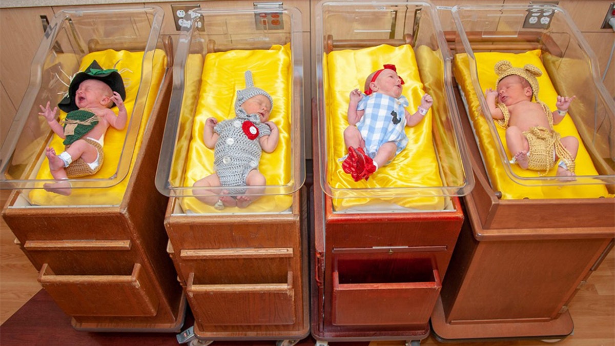 Newborns were dressed as characters from "The Wizard of Oz" at West Penn Hospital in Pittsburgh. (Photo courtesy of Allegheny Health Network)