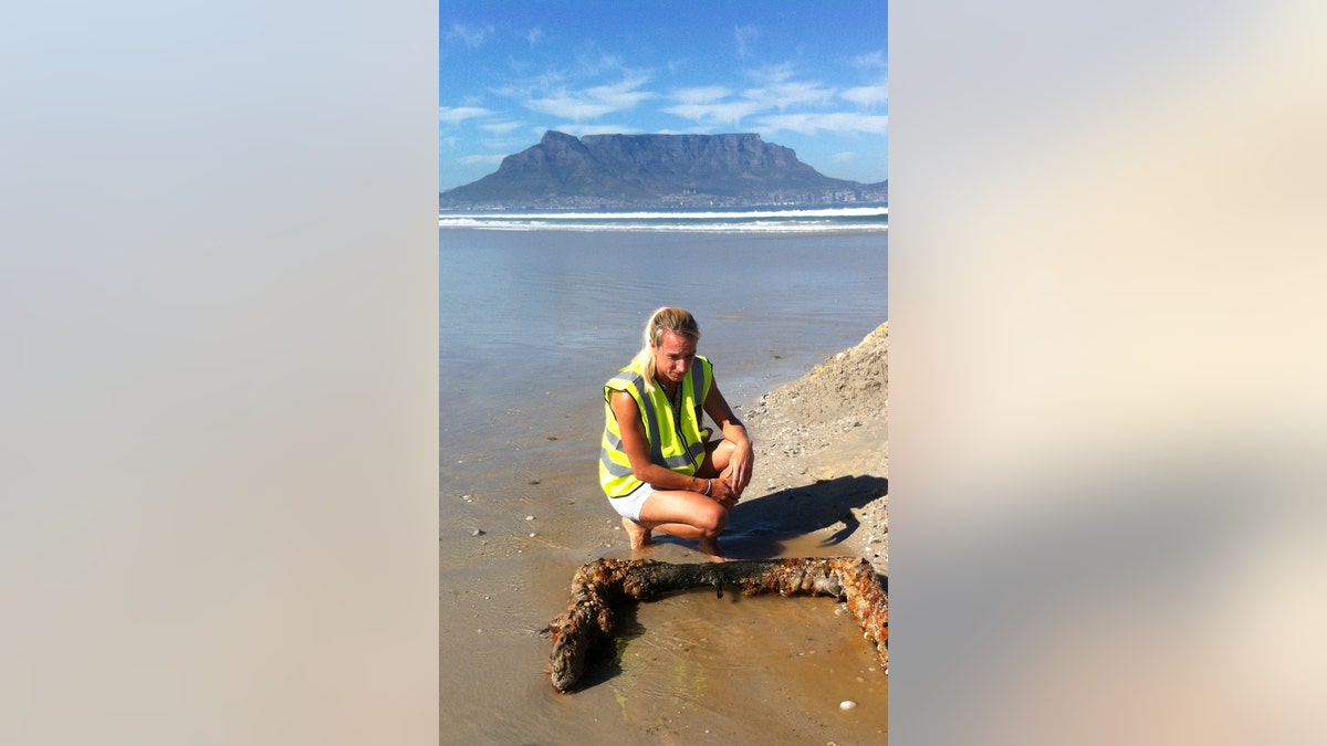 Briege Williams of the South African Heritage Resources Agency (SAHRA) inspecting an object found in the search for the 'Haarlem' wreck.