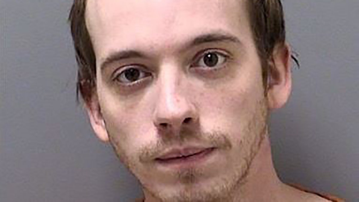 Tyler Wayne Holloway pleaded guilty Thursday to stabbing his stepsister. 