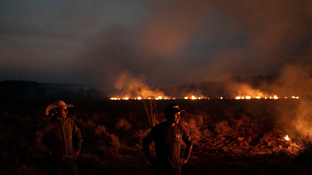 Leaders of the G7 have pledged to help Brazil fire the surge of wildfires sweeping across the Amazon. (AP Photo/Leo Correa)