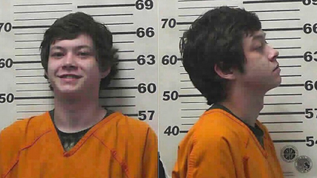 Jason Pitts, 19, allegedly led authorities on a multi-state chase after police claim he stole a car with kittens inside from a rest stop in Missouri.